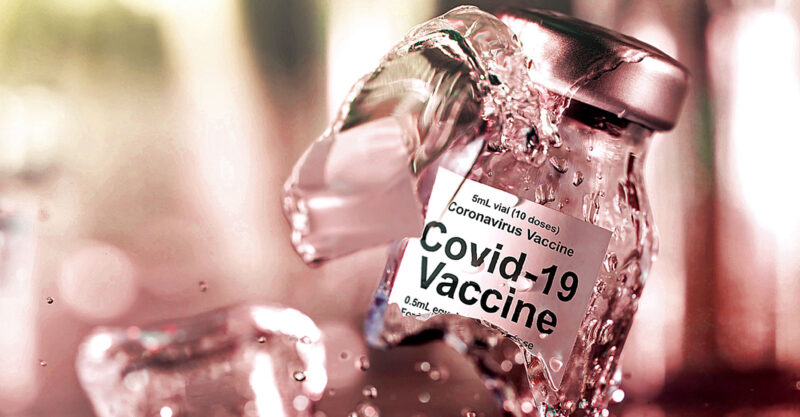 Nattokinase, Bromelain & Curcumin: Your Spike Protein Detox Guide